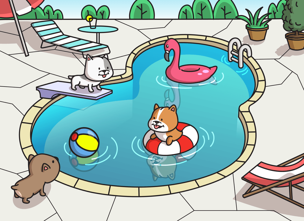 Shelterfrens