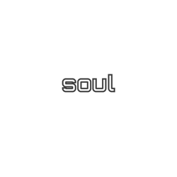 soul coin