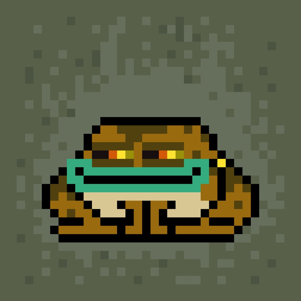 my toad
