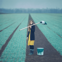 Fields of Dreams by OPRISCO