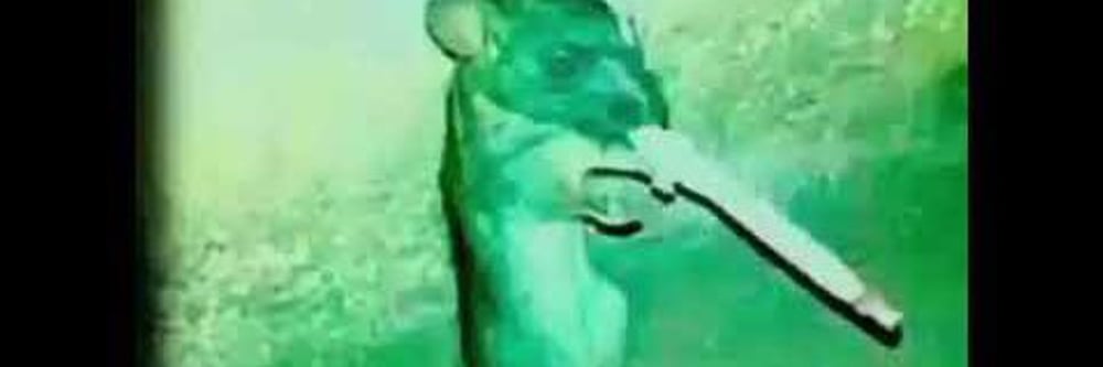 PepeLadys