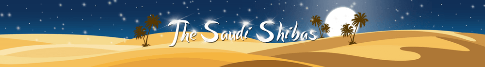 THE SAUDI SHIBAS OFFICIAL