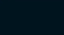 NSake