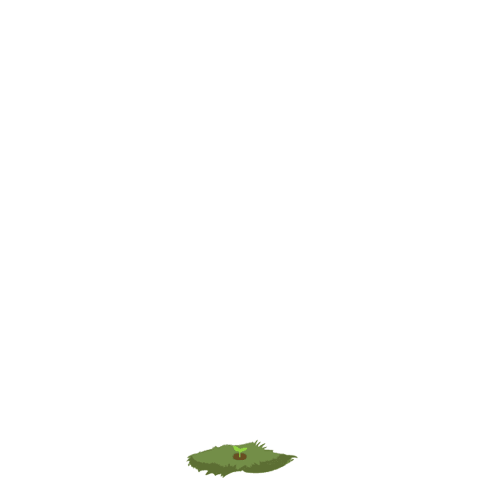 Asset item