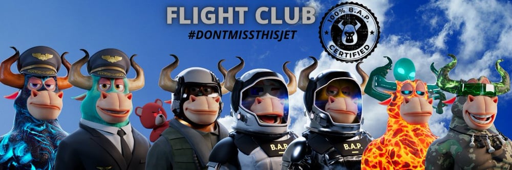 Prepare For Flight