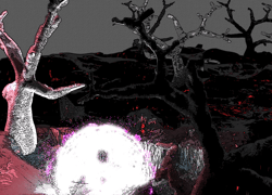 Upcoming forest