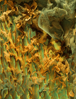 Machine Hallucinations - Mars - D #28/32