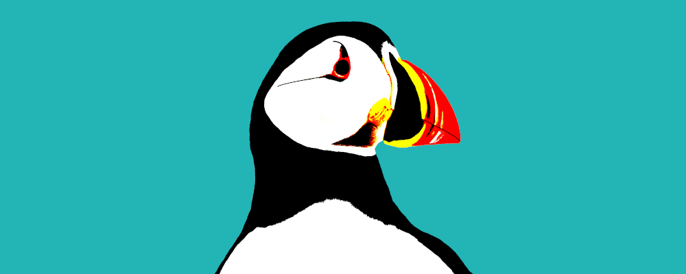 Puffin