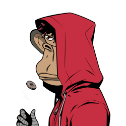 Zuki Ape Yacht Club