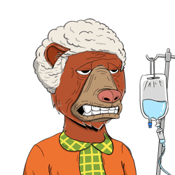 Elderly Bears