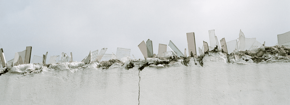 Dog Days, Bogota by Alec Soth