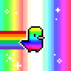 tiny birbz