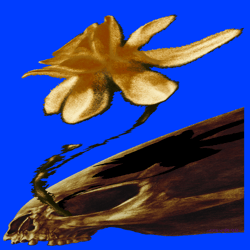 Still Life - nCnTxUP1Kr