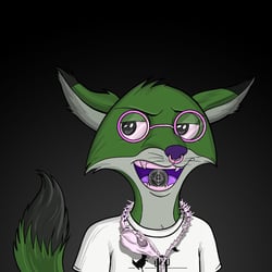 Spinal Foxes ED