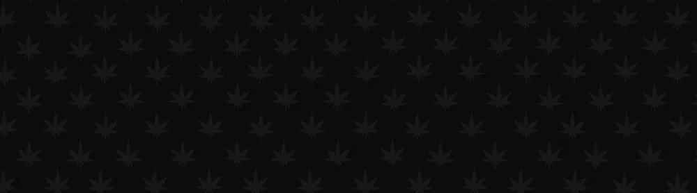 Stoners | SAC
