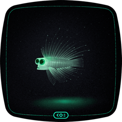 Koiverse Fish NFT