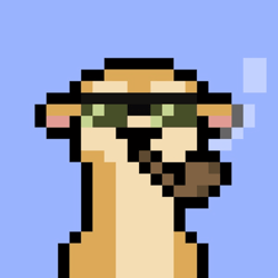 IamMeerkat