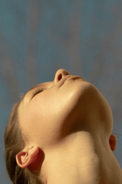 FOUNDATION COLLECTION - Laurent Castellani