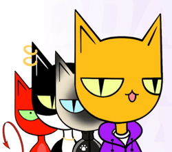 The SoCat Series