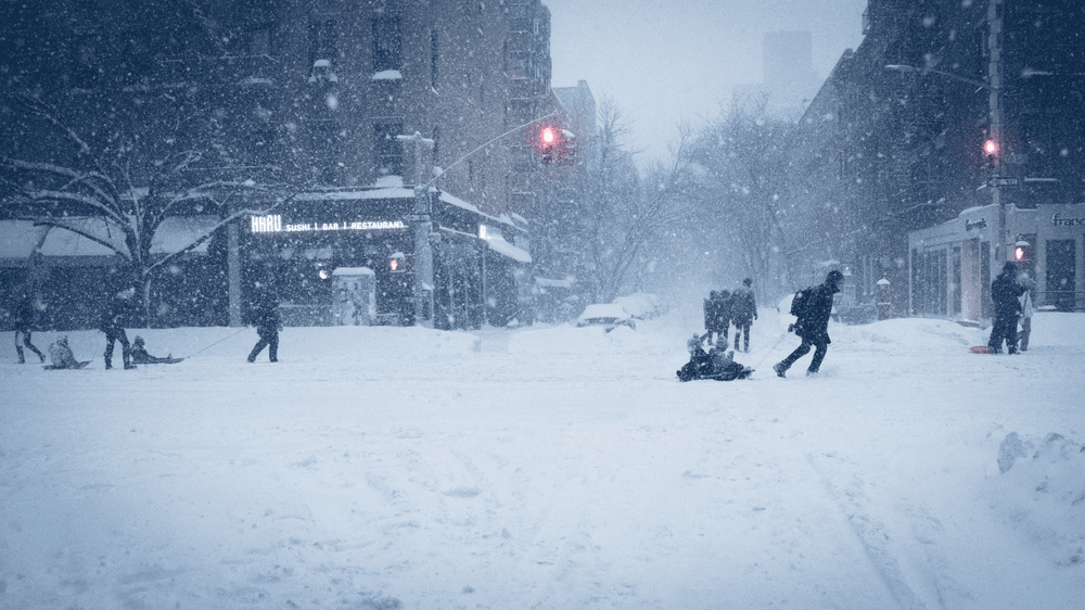 Snow Days In NYC V2