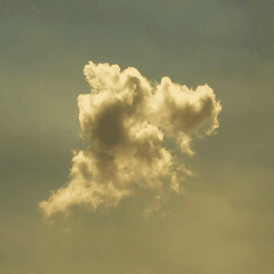 Temporal States
