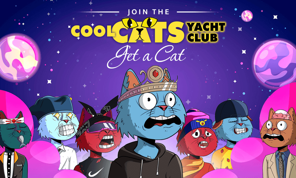Cool Cat Yacht Club