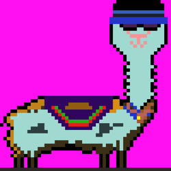Metapaca