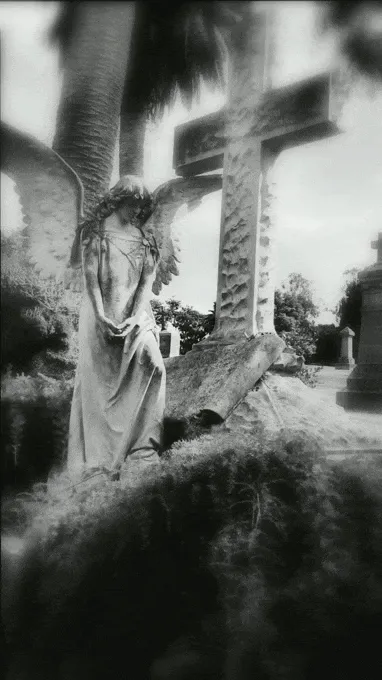 Angel #2 - Cypress Lawn Cemetery