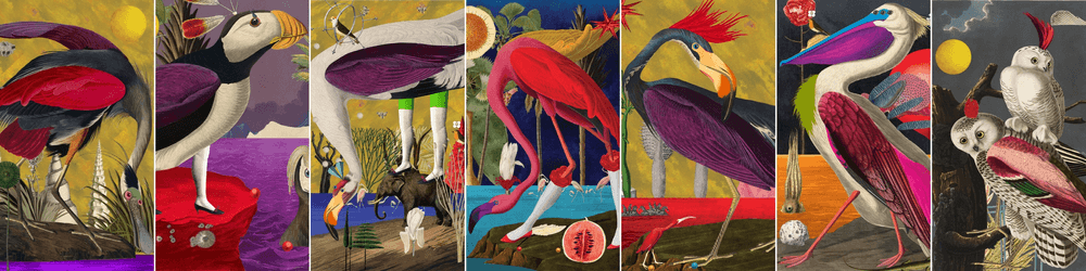 Birds of Solis by Varvara Alay