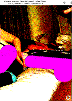 deep fried hunters
