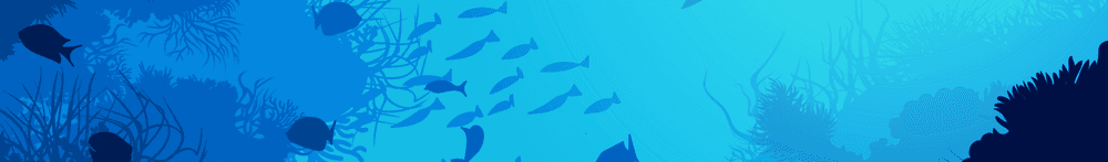 Crypto Whale Club