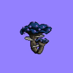 Non-Fungi-ble's