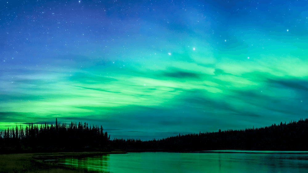 Nature by Dave Markel