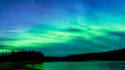Nature by Dave Markel