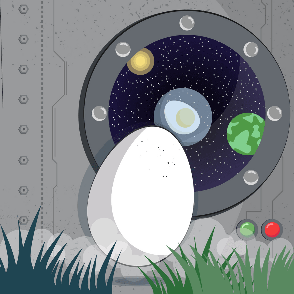 SPACE EGG #821