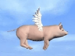 OinkOinkPIG