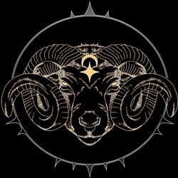 Oracle (official)