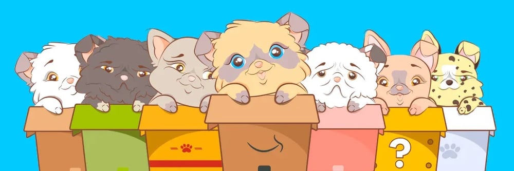 Cute Cute Kittens meow meow