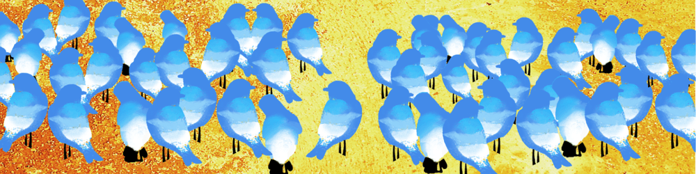 Social Dysfunction
