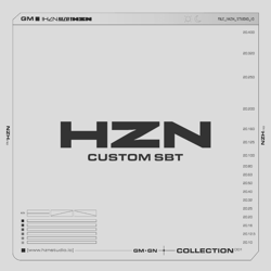 HZN-001-SBT