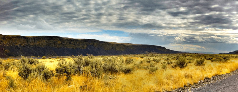 TheBenMeadows Photography
