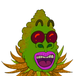 420Club