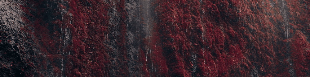 Anomalies Collection by Jeff Mihaly