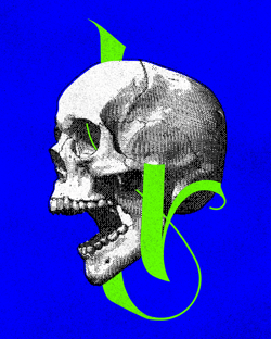Skoltr, from old Norse. Word meaning: skull.