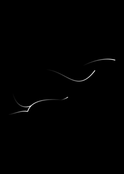 BSP3 The Lines