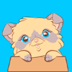 Cute Cute Kittens meow meow