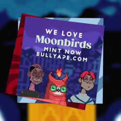 Bully Apes Flyer - Moonbirds