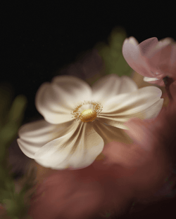 Flora - yu2CkBs6Rm