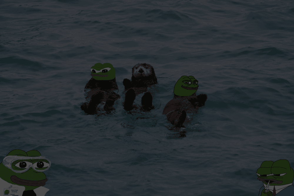 Otter Research