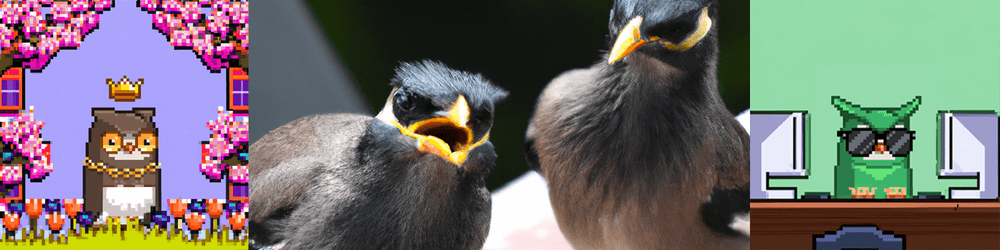 AI Bird Feed